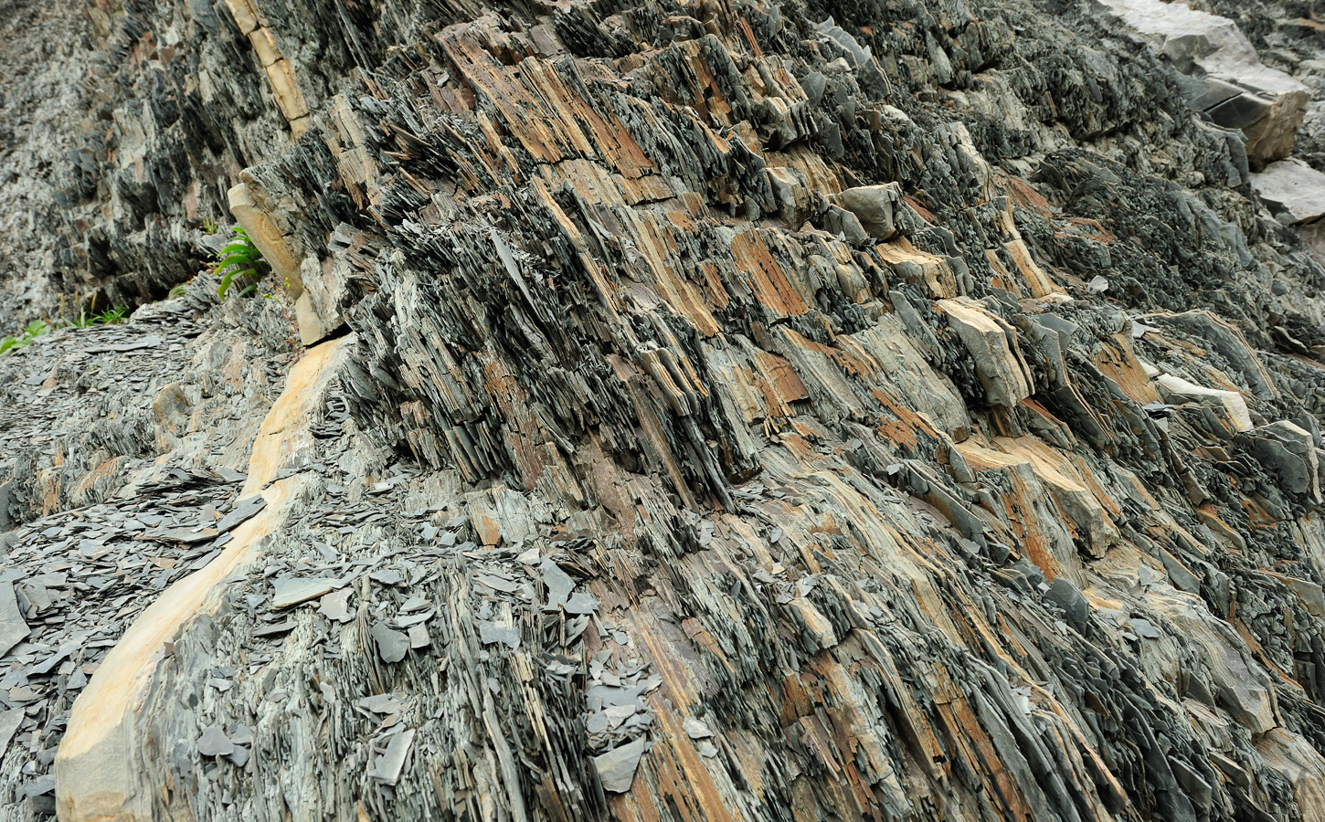 The division between the Cambrian and the Ordovician systems [24 mm, 1/60 sec at f / 14, ISO 400]